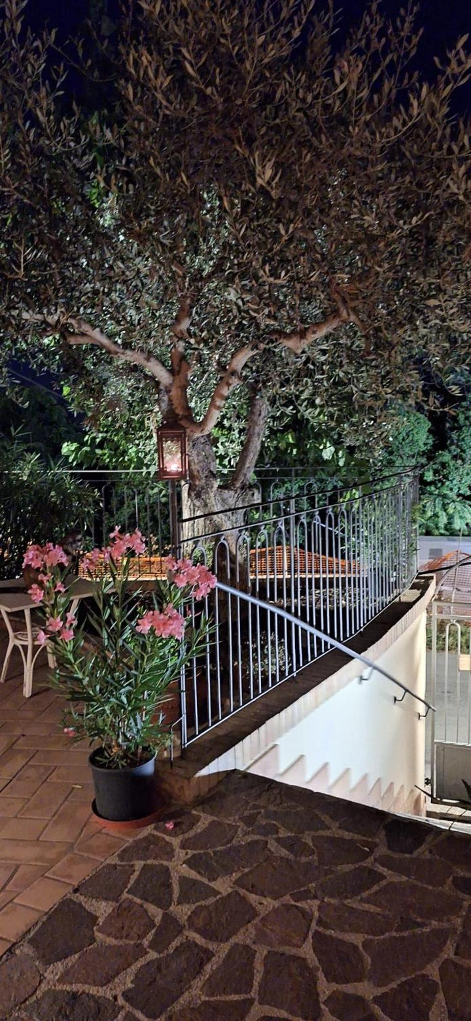 B&B Palazzo Mestichelli Boutique Palace Monteprandone Εξωτερικό φωτογραφία